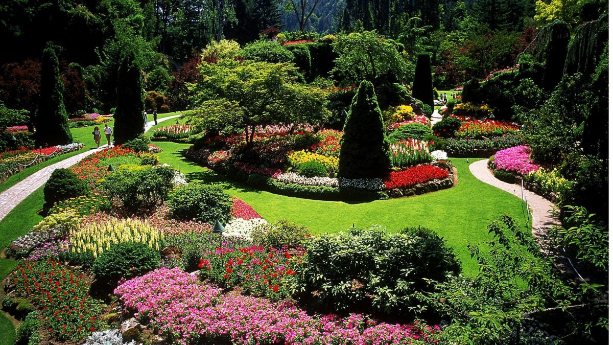 What are the Essence of Garden Landscaping Services?